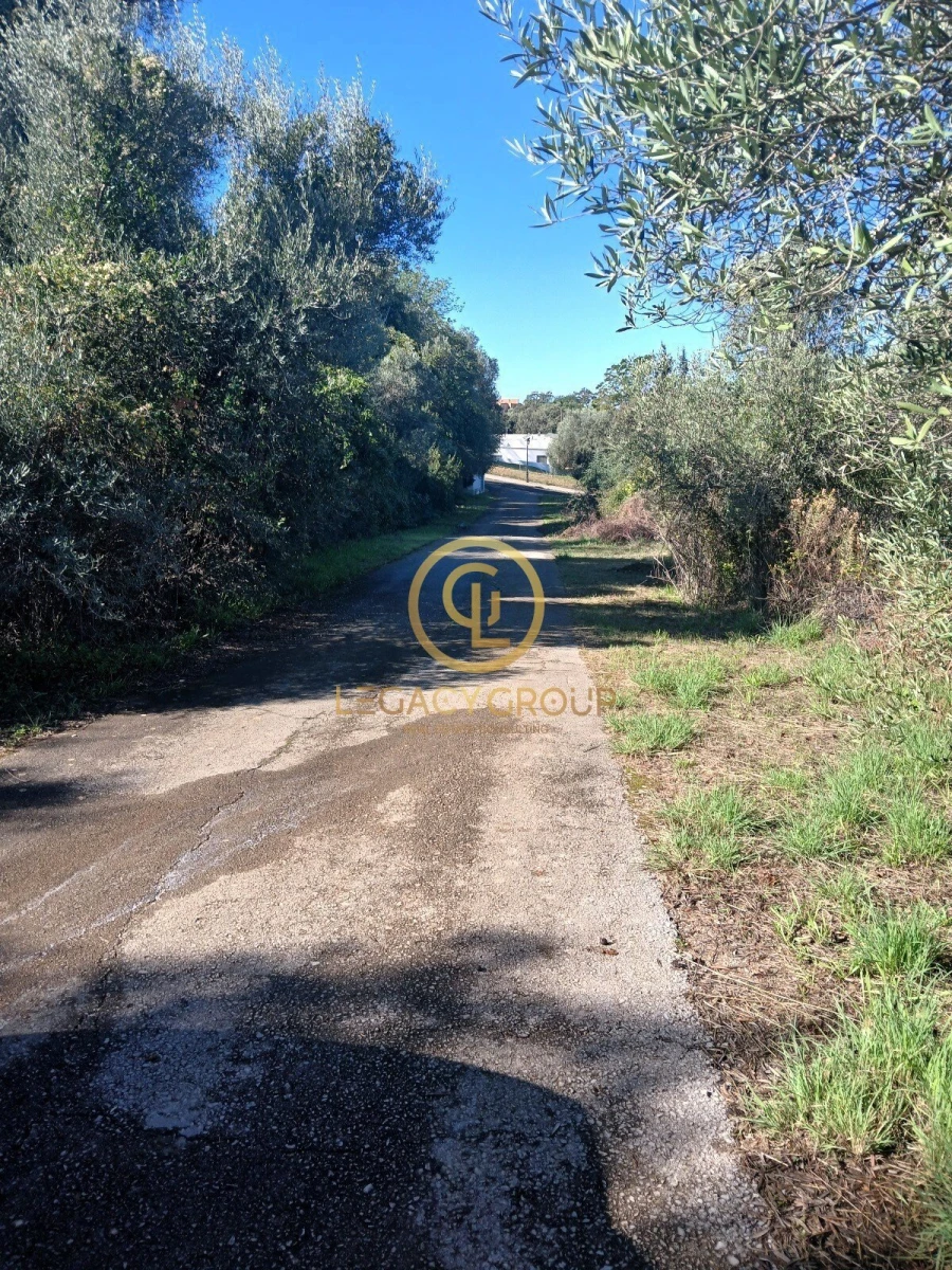 Terreno para Venda em Querença, Tôr e Benafim Foto 10