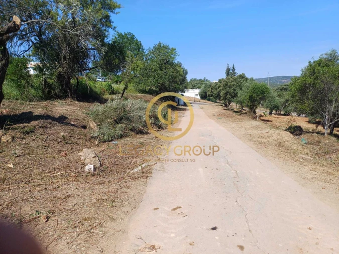 Terreno para Venda em Querença, Tôr e Benafim Foto 11