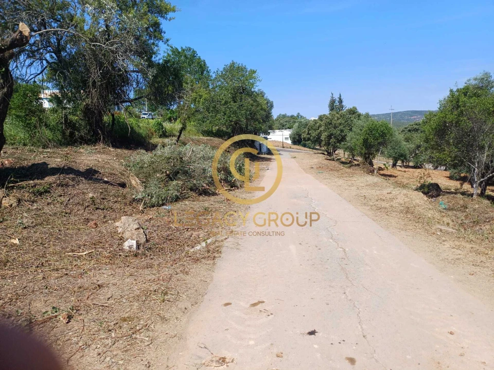 Terreno para Venda em Querença, Tôr e Benafim Foto 11