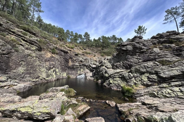 Negócio para Venda em Freamunde Foto 15