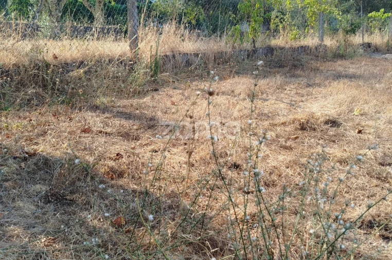 Terreno para Venda em Santiago de Cassurrães e Póvoa de Cervães Foto 2