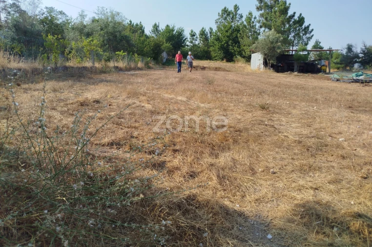 Terreno para Venda em Santiago de Cassurrães e Póvoa de Cervães Foto 3