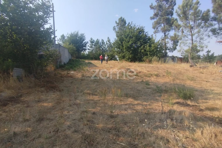 Terreno para Venda em Santiago de Cassurrães e Póvoa de Cervães Foto 8