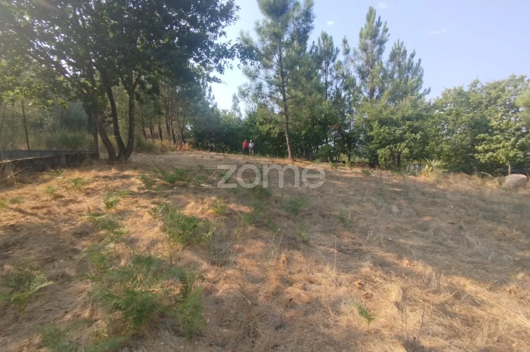 Terreno para Venda em Santiago de Cassurrães e Póvoa de Cervães Foto 16