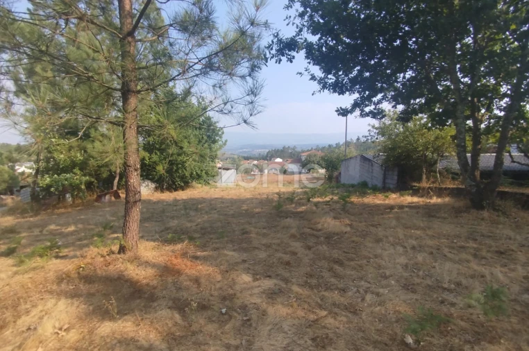 Terreno para Venda em Santiago de Cassurrães e Póvoa de Cervães Foto 20