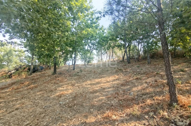 Terreno para Venda em Santiago de Cassurrães e Póvoa de Cervães Foto 23