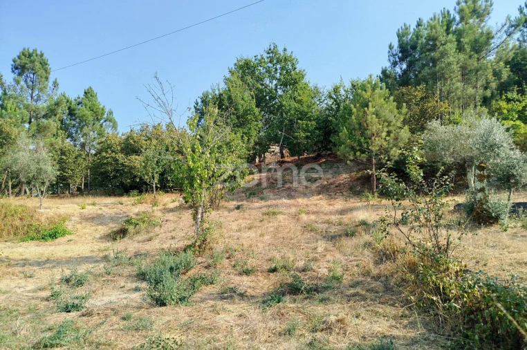 Terreno para Venda em Santiago de Cassurrães e Póvoa de Cervães Foto 32