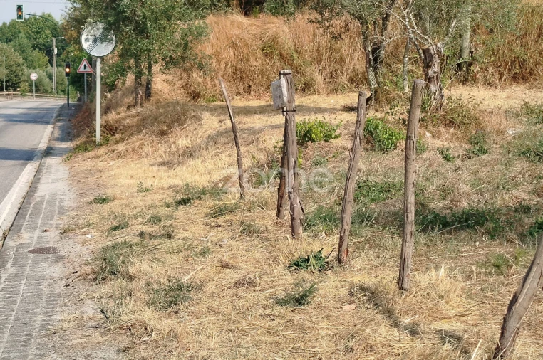 Terreno para Venda em Santiago de Cassurrães e Póvoa de Cervães Foto 36