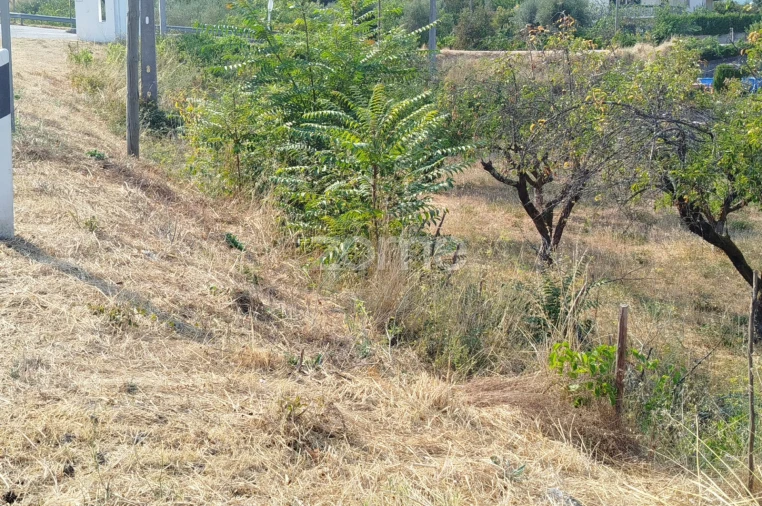 Terreno para Venda em Santiago de Cassurrães e Póvoa de Cervães Foto 40