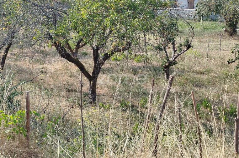 Terreno para Venda em Santiago de Cassurrães e Póvoa de Cervães Foto 41