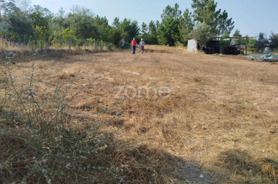 Terreno para Venda em Santiago de Cassurrães e Póvoa de Cervães Foto 3