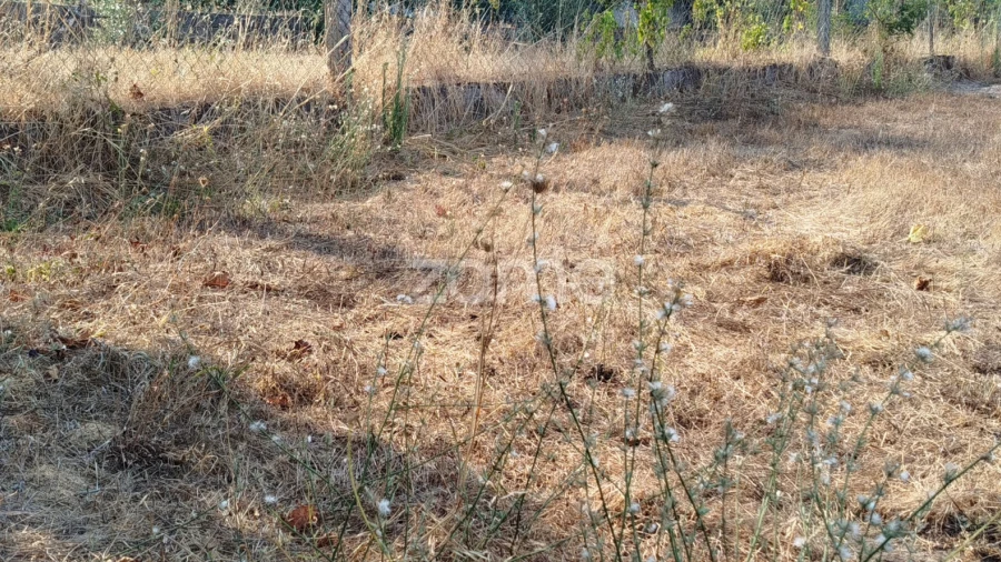 Terreno para Venda em Santiago de Cassurrães e Póvoa de Cervães