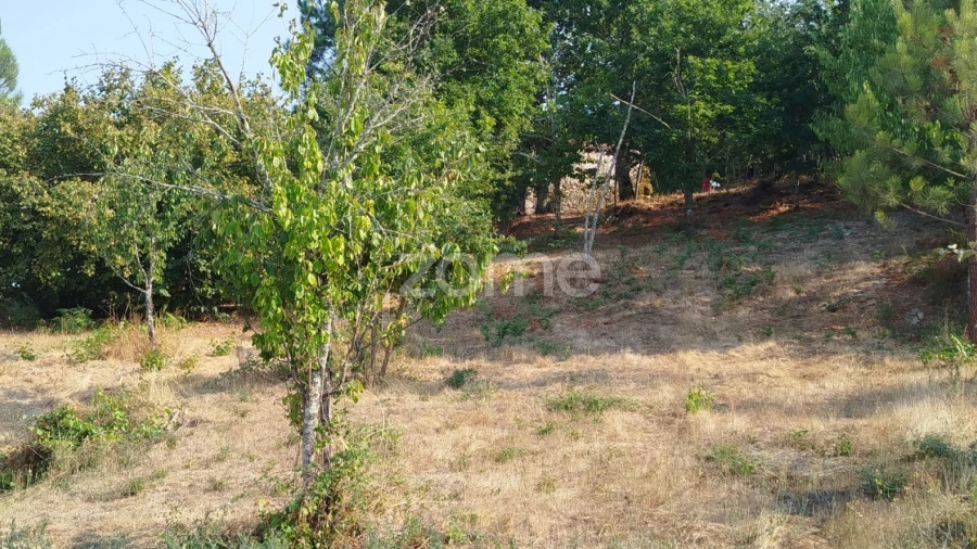 Terreno para Venda em Santiago de Cassurrães e Póvoa de Cervães