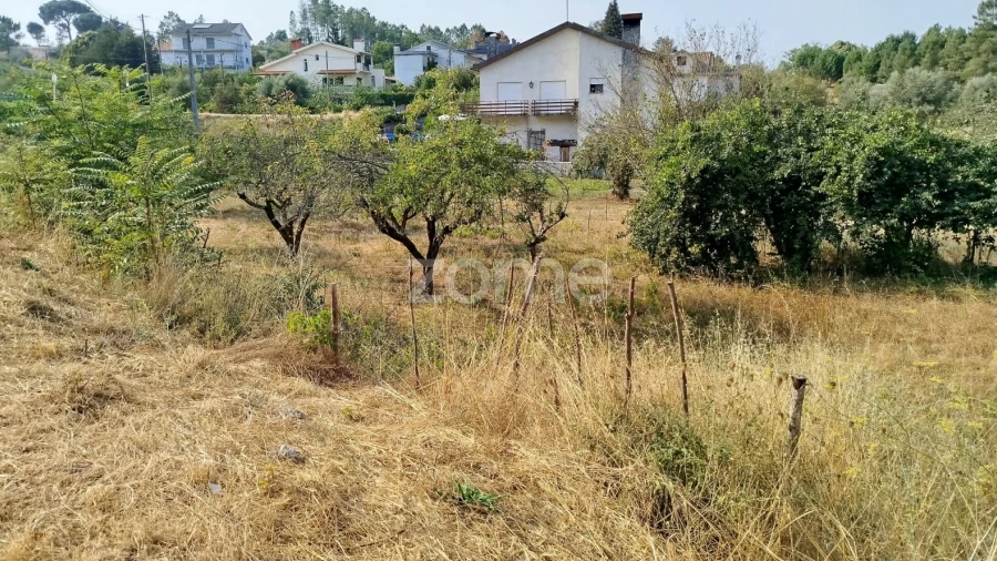 Terreno para Venda em Santiago de Cassurrães e Póvoa de Cervães