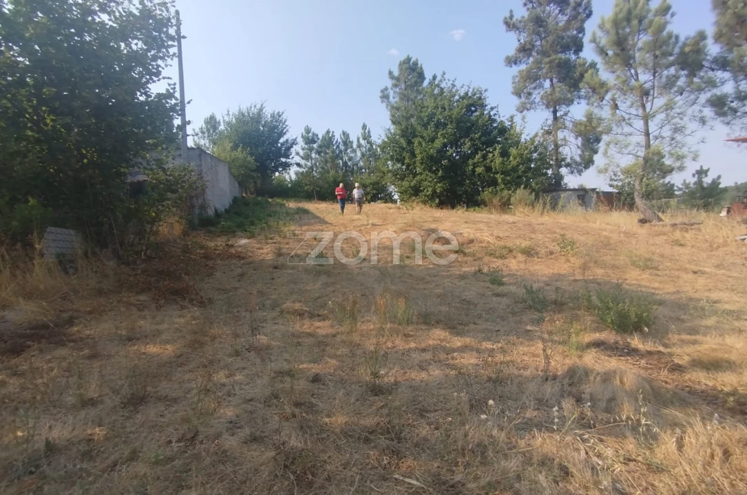 Terreno para Venda em Santiago de Cassurrães e Póvoa de Cervães Foto 8