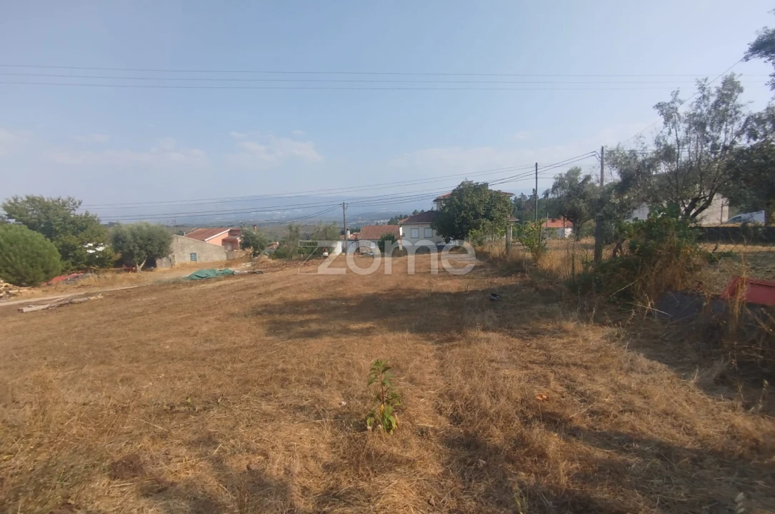Terreno para Venda em Santiago de Cassurrães e Póvoa de Cervães Foto 13