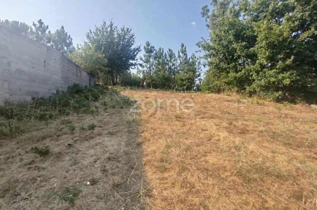 Terreno para Venda em Santiago de Cassurrães e Póvoa de Cervães Foto 14