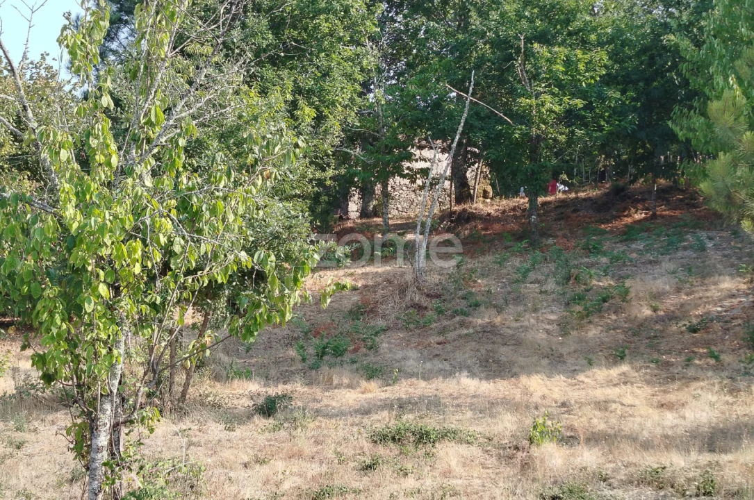 Terreno para Venda em Santiago de Cassurrães e Póvoa de Cervães Foto 27