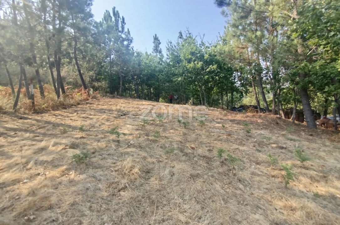 Terreno para Venda em Santiago de Cassurrães e Póvoa de Cervães Foto 19