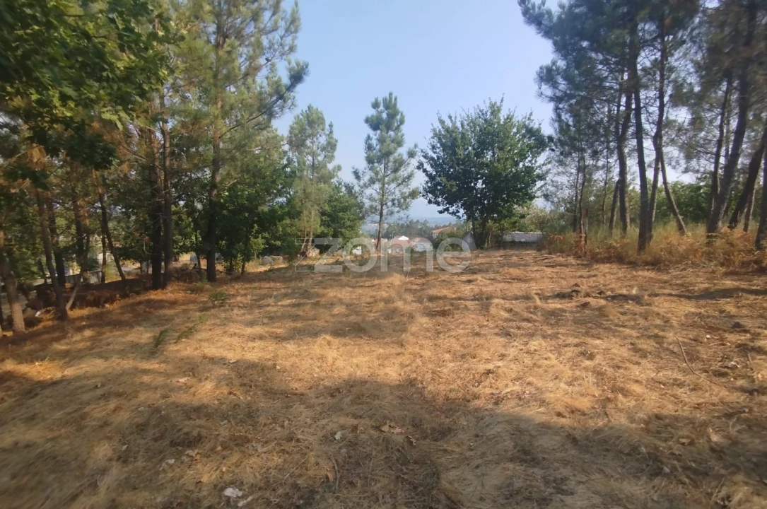 Terreno para Venda em Santiago de Cassurrães e Póvoa de Cervães Foto 21