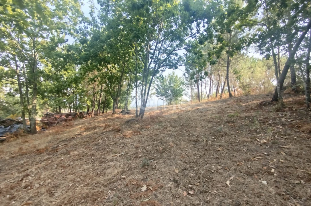 Terreno para Venda em Santiago de Cassurrães e Póvoa de Cervães Foto 22