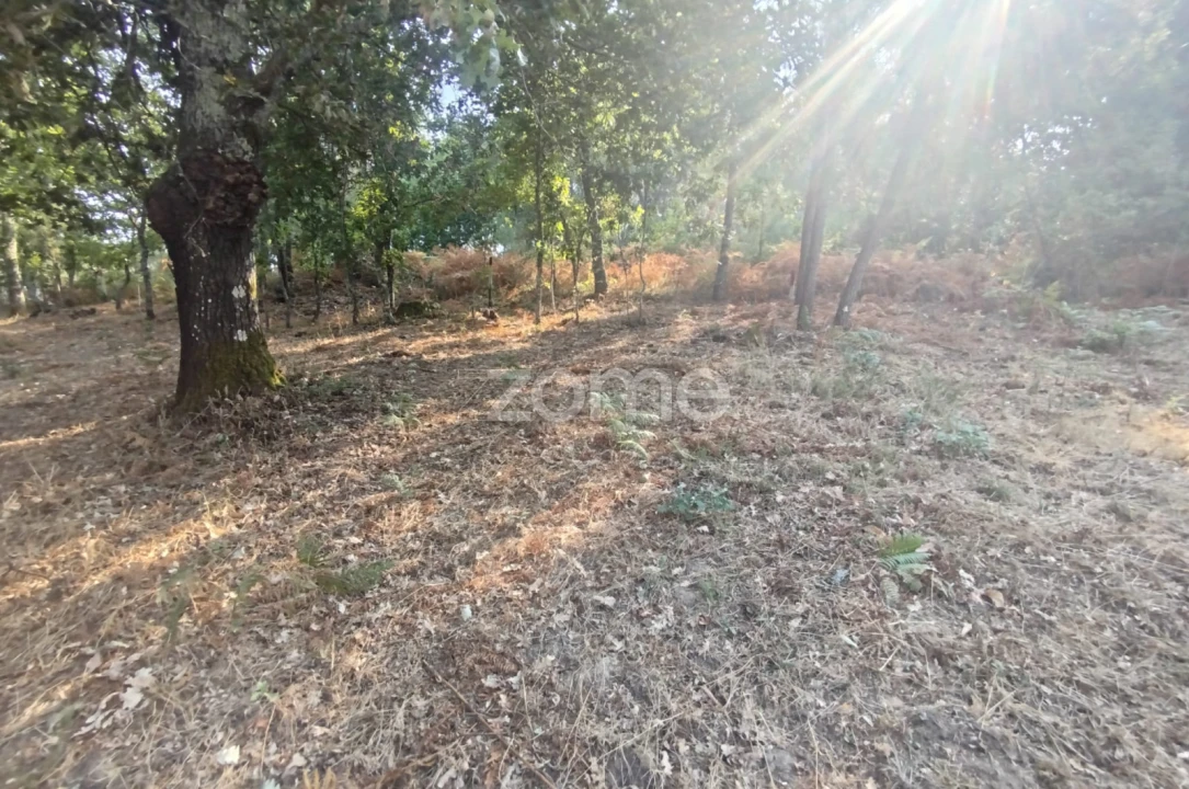 Terreno para Venda em Santiago de Cassurrães e Póvoa de Cervães Foto 26