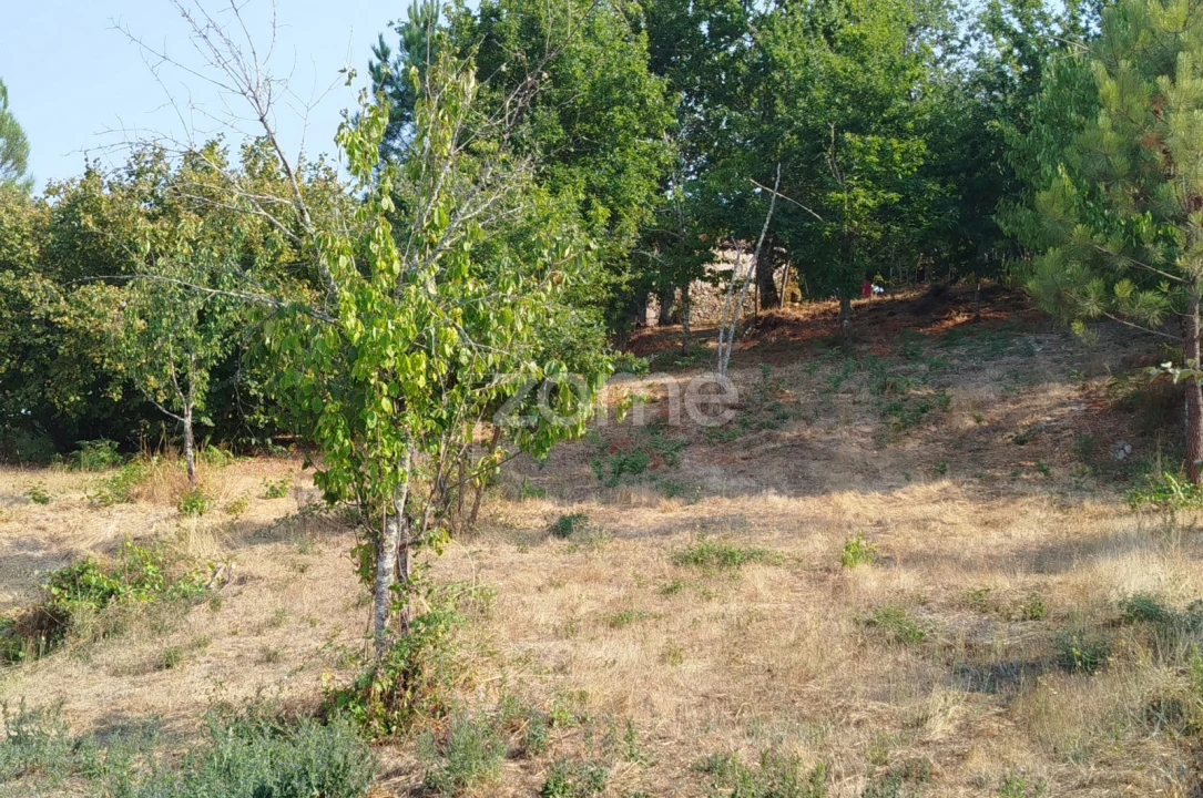 Terreno para Venda em Santiago de Cassurrães e Póvoa de Cervães Foto 31