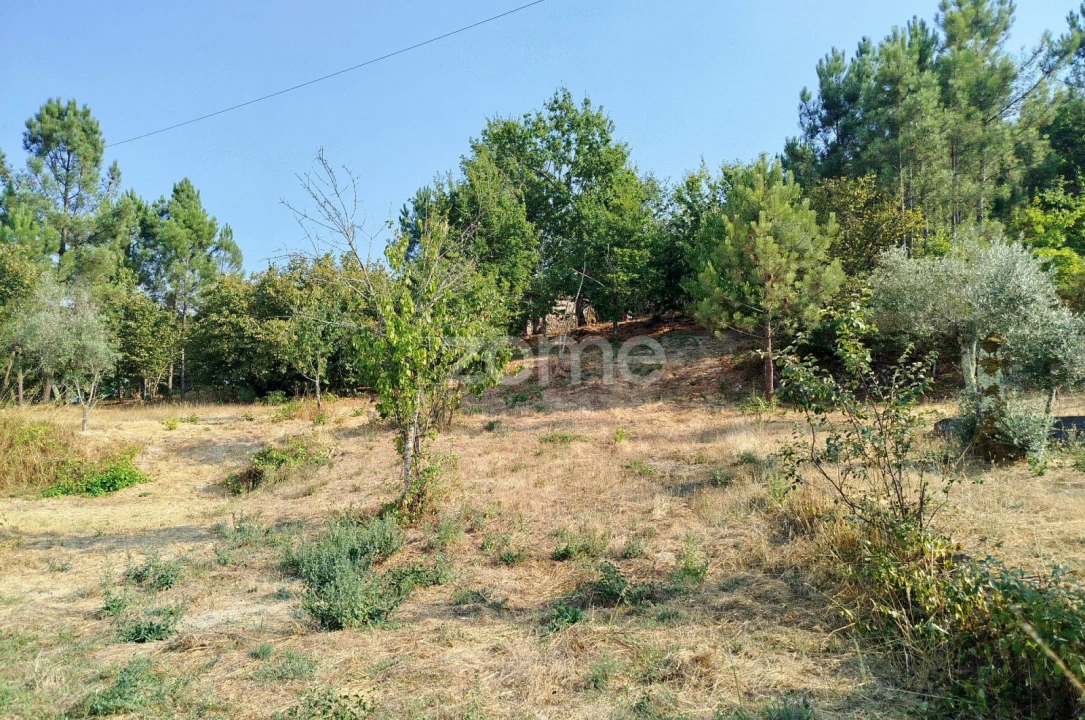 Terreno para Venda em Santiago de Cassurrães e Póvoa de Cervães Foto 30