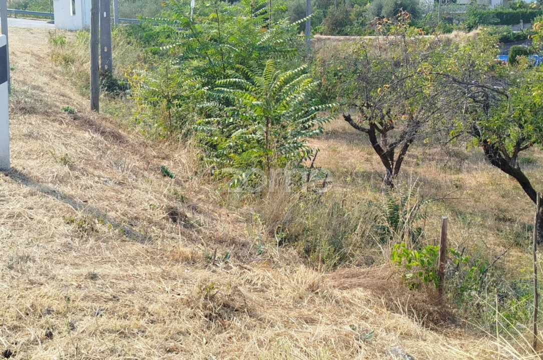 Terreno para Venda em Santiago de Cassurrães e Póvoa de Cervães Foto 40
