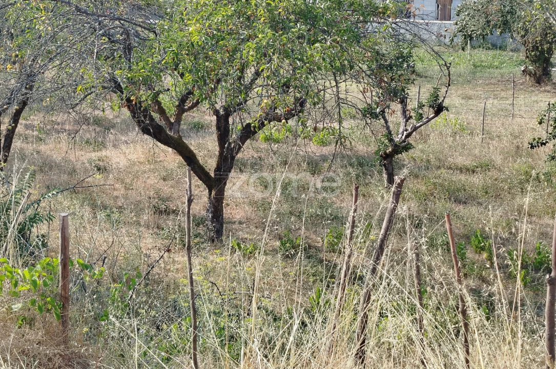 Terreno para Venda em Santiago de Cassurrães e Póvoa de Cervães Foto 41