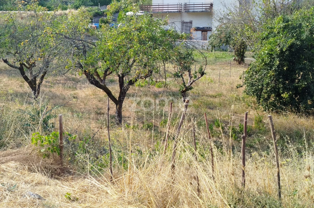 Terreno para Venda em Santiago de Cassurrães e Póvoa de Cervães Foto 43