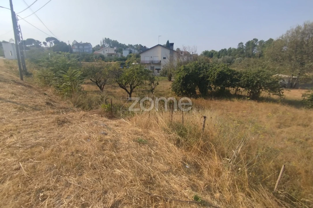 Terreno para Venda em Santiago de Cassurrães e Póvoa de Cervães Foto 44