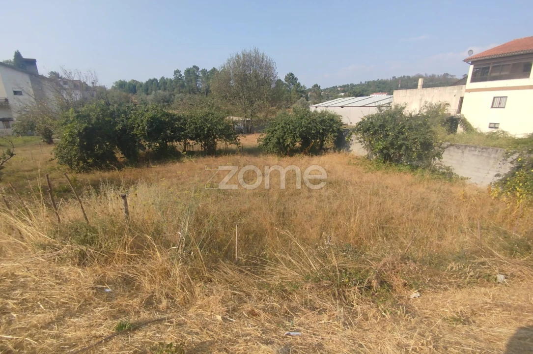 Terreno para Venda em Santiago de Cassurrães e Póvoa de Cervães Foto 45
