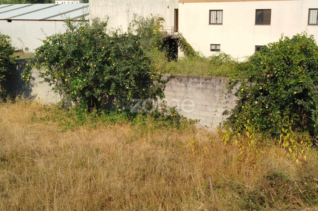 Terreno para Venda em Santiago de Cassurrães e Póvoa de Cervães Foto 47