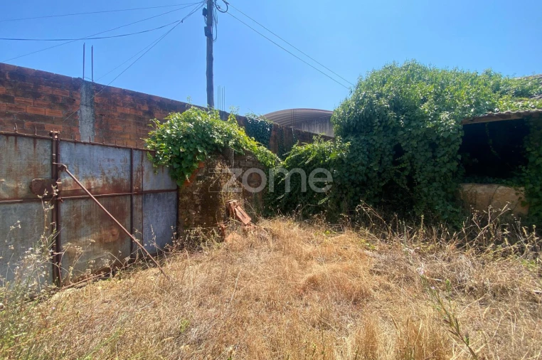 Terreno para Venda em Sepins e Bolho Foto 8