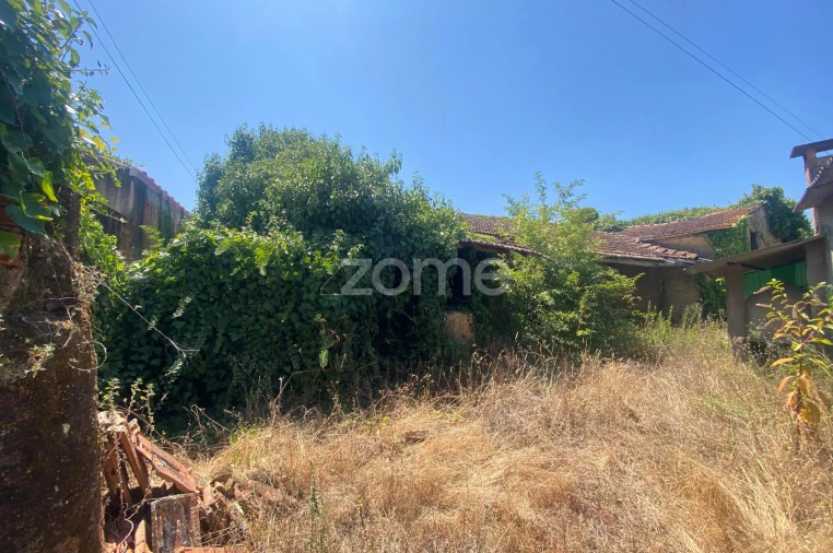 Terreno para Venda em Sepins e Bolho Foto 9