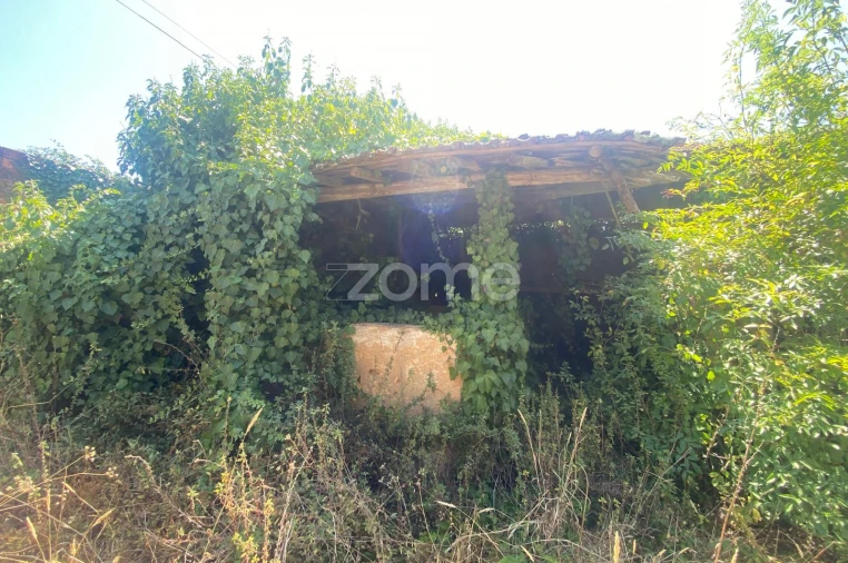 Terreno para Venda em Sepins e Bolho Foto 10