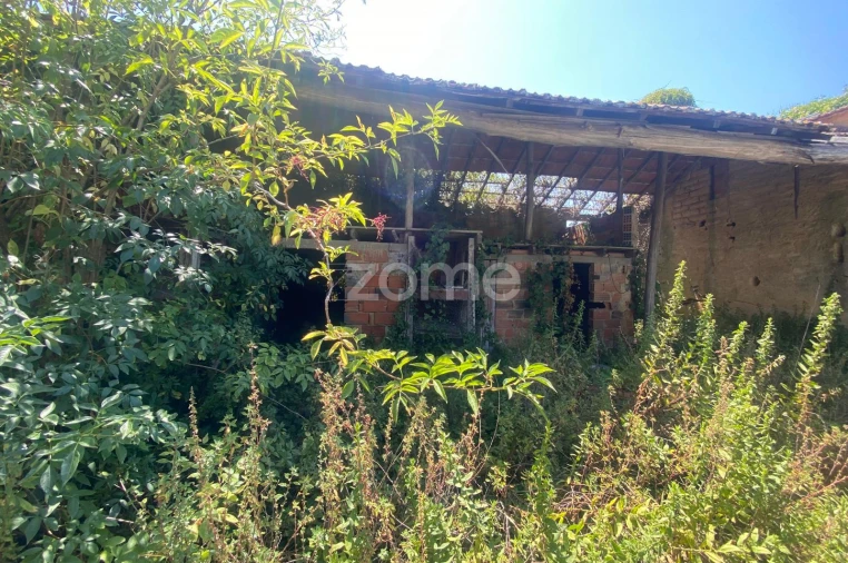 Terreno para Venda em Sepins e Bolho Foto 11