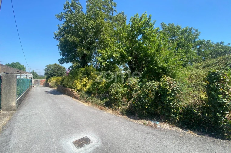 Terreno para Venda em Sepins e Bolho Foto 42