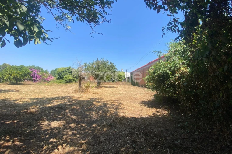 Terreno para Venda em Sepins e Bolho Foto 43