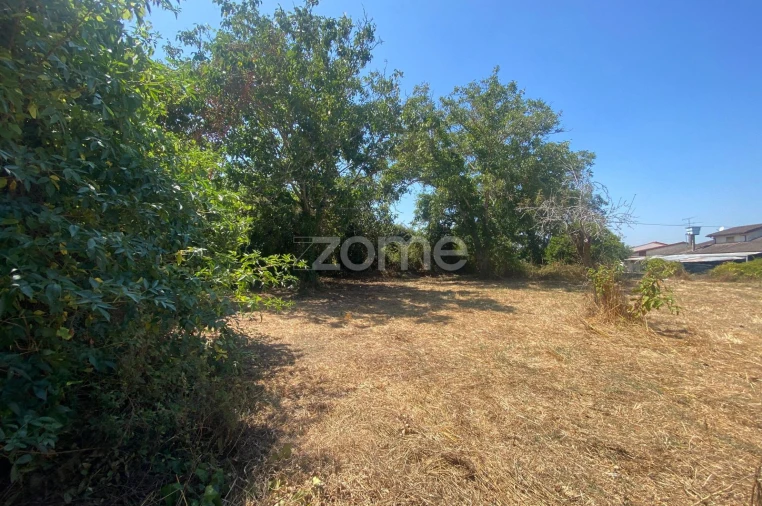 Terreno para Venda em Sepins e Bolho Foto 44