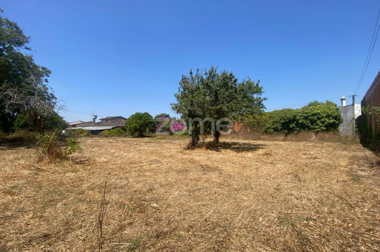 Terreno para Venda em Sepins e Bolho Foto 51