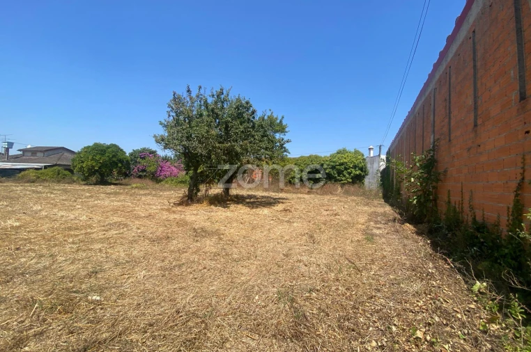 Terreno para Venda em Sepins e Bolho Foto 46