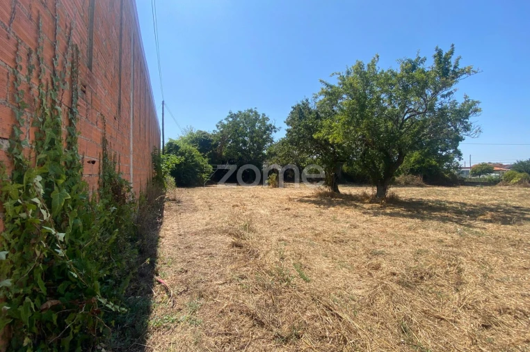 Terreno para Venda em Sepins e Bolho Foto 48