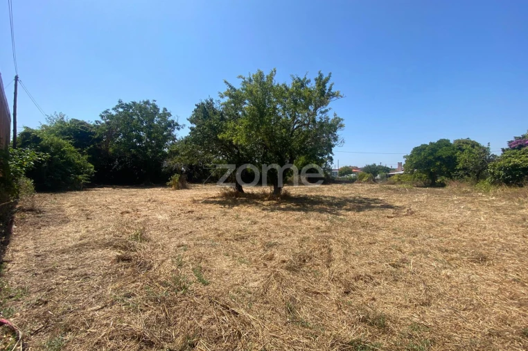 Terreno para Venda em Sepins e Bolho Foto 49