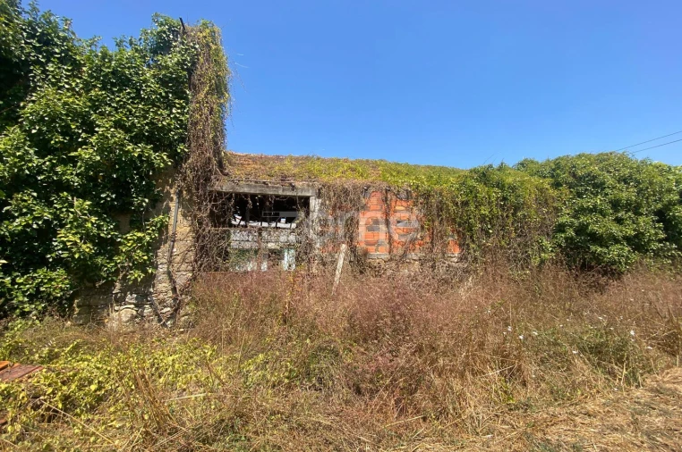 Terreno para Venda em Sepins e Bolho Foto 50