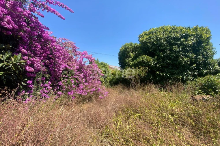 Terreno para Venda em Sepins e Bolho Foto 53