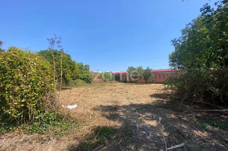 Terreno para Venda em Sepins e Bolho Foto 55