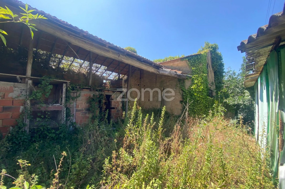 Terreno para Venda em Sepins e Bolho Foto 12