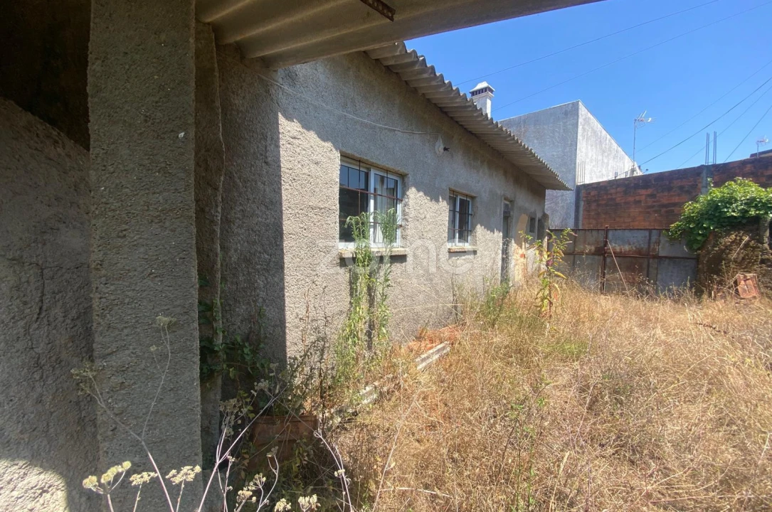 Terreno para Venda em Sepins e Bolho Foto 13